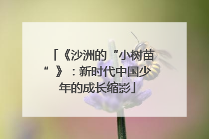 《沙洲的“小树苗”》：新时代中国少年的成长缩影