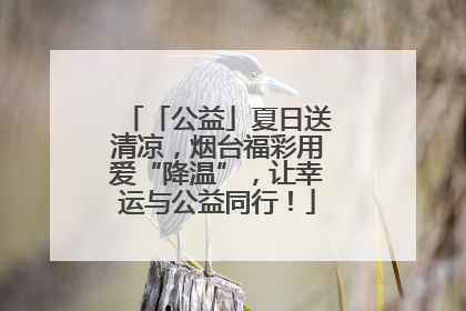 「公益」夏日送清凉，烟台福彩用爱“降温”，让幸运与公益同行！