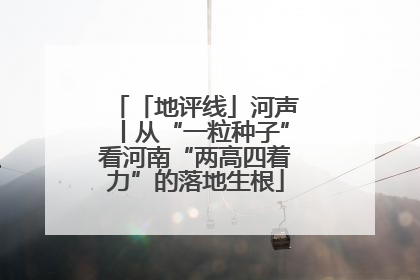 「地评线」河声丨从“一粒种子”看河南“两高四着力”的落地生根