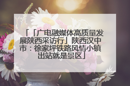 「广电融媒体高质量发展陕西采访行」陕西汉中市：徐家坪铁路风情小镇 出站就是景区