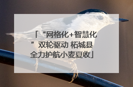 “网格化+智慧化”双轮驱动 柘城县全力护航小麦夏收