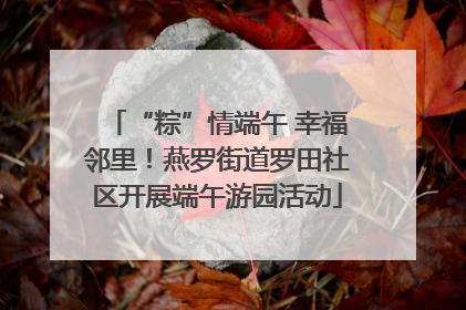 “粽”情端午 幸福邻里！燕罗街道罗田社区开展端午游园活动
