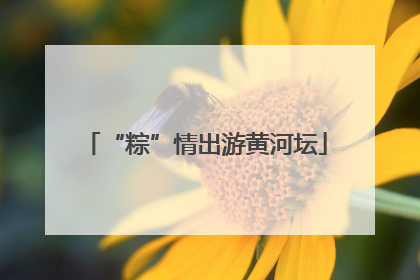“粽”情出游黄河坛