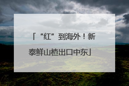 “红”到海外！新泰鲜山楂出口中东