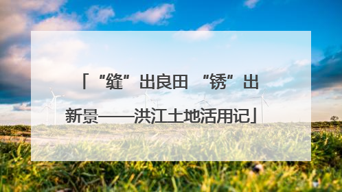 “缝”出良田 “锈”出新景——洪江土地活用记