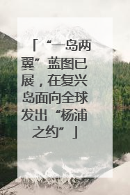“一岛两翼”蓝图已展，在复兴岛面向全球发出“杨浦之约”