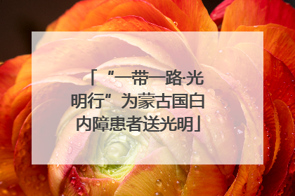 “一带一路·光明行”为蒙古国白内障患者送光明