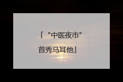 “中医夜市”首秀马耳他