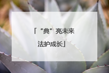 “典”亮未来 法护成长