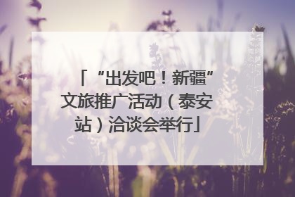 “出发吧！新疆”文旅推广活动（泰安站）洽谈会举行