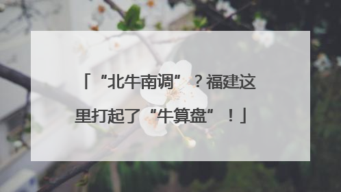 “北牛南调”?福建这里打起了“牛算盘”!