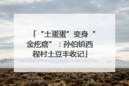 “土蛋蛋”变身“金疙瘩”：孙伯镇西程村土豆丰收记