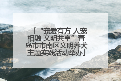 “宠爱有方 人宠相融 文明共享”青岛市市南区文明养犬主题实践活动举办