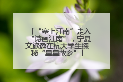 “塞上江南”走入“诗画江南”，宁夏文旅邀在杭大学生探秘“星星故乡”