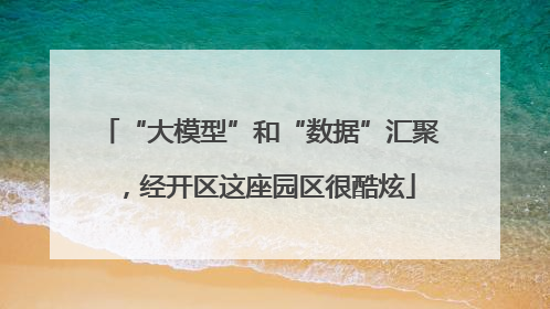 “大模型”和“数据”汇聚，经开区这座园区很酷炫