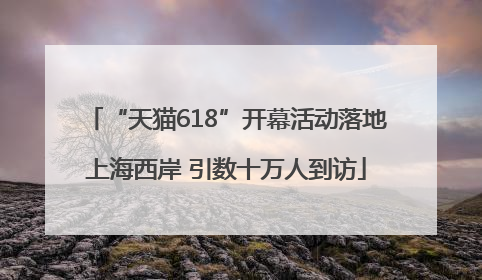 “天猫618”开幕活动落地上海西岸 引数十万人到访