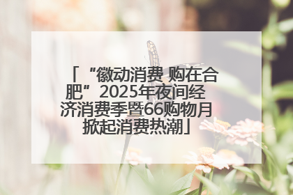“徽动消费 购在合肥”2025年夜间经济消费季暨66购物月掀起消费热潮