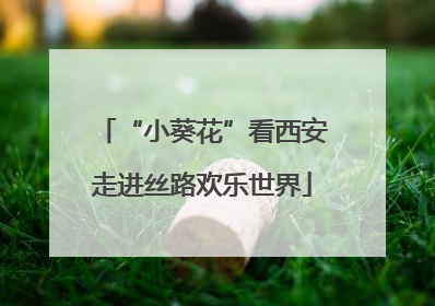 “小葵花”看西安走进丝路欢乐世界