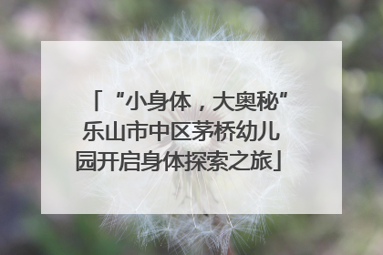 “小身体，大奥秘” 乐山市中区茅桥幼儿园开启身体探索之旅