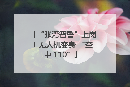 “张湾智警”上岗！无人机变身 “空中 110”