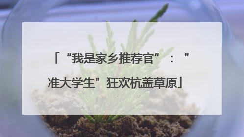 “我是家乡推荐官”：“准大学生”狂欢杭盖草原