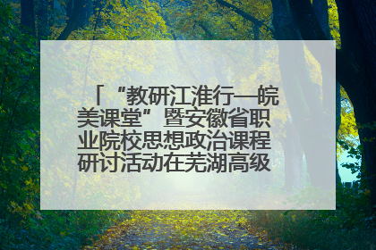 “教研江淮行—皖美课堂”暨安徽省职业院校思想政治课程研讨活动在芜湖高级职业技术学校举行