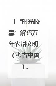 “时光胶囊”解码万年农耕文明（考古中国）
