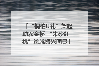“桐柏U礼”架起助农金桥 “朱砂红桃”绘就振兴图景