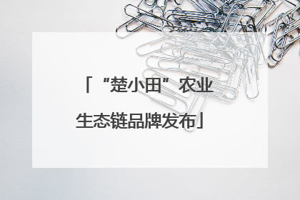 “楚小田”农业生态链品牌发布