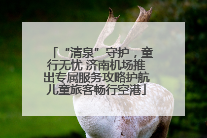 “清泉”守护，童行无忧 济南机场推出专属服务攻略护航儿童旅客畅行空港
