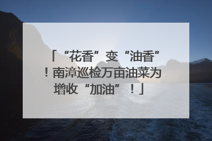 “花香”变“油香”！南漳巡检万亩油菜为增收“加油”！