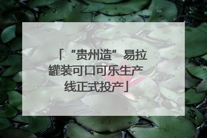 “贵州造”易拉罐装可口可乐生产线正式投产