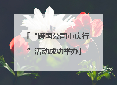“跨国公司重庆行”活动成功举办