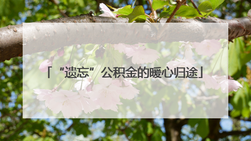 “遗忘”公积金的暖心归途