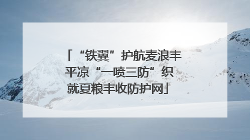 “铁翼”护航麦浪丰 平凉“一喷三防”织就夏粮丰收防护网