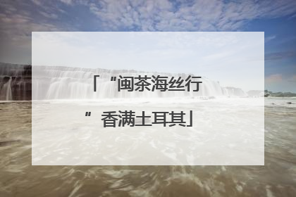 “闽茶海丝行”香满土耳其