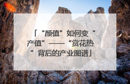 “颜值”如何变“产值”——“赏花热”背后的产业图谱