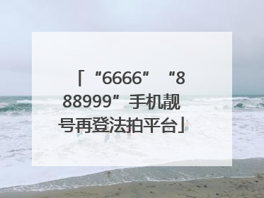 “6666”“888999”手机靓号再登法拍平台