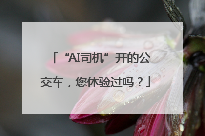 “AI司机”开的公交车，您体验过吗？