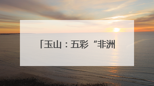 玉山：五彩“非洲菊”绽放横街镇 朵朵“振兴花”催生乡村共富图景