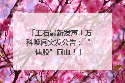 王石最新发声！万科晚间突发公告：“售股”回血！
