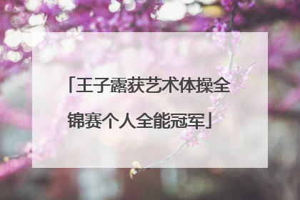 王子露获艺术体操全锦赛个人全能冠军