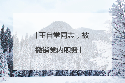王自堂同志，被撤销党内职务