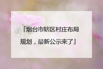 烟台市辖区村庄布局规划，最新公示来了