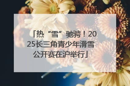 热“雪”驰骋！2025长三角青少年滑雪公开赛在沪举行