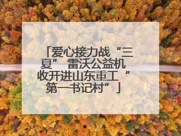 爱心接力战“三夏” 雷沃公益机收开进山东重工“第一书记村”