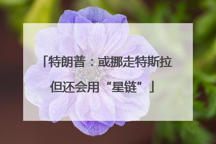 特朗普：或挪走特斯拉 但还会用“星链”