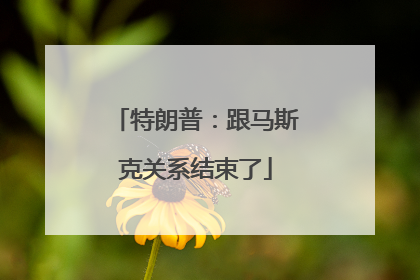 特朗普：跟马斯克关系结束了