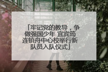 牢记党的教导，争做强国少年 宜宾筠连镇舟中心校举行新队员入队仪式
