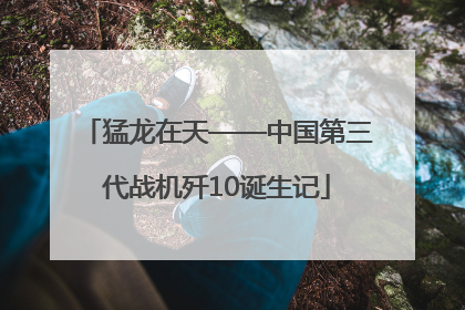 猛龙在天——中国第三代战机歼10诞生记